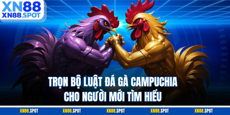 Trọn bộ luật đá gà Campuchia cho người mới tìm hiểu